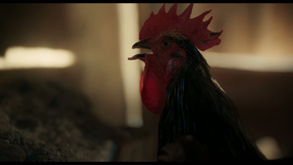 La.Espera.AKA.The.Wait.2023.Bluray.1080p.iPad.AAC2.0.x264-CHDPAD.mp4_20241214_123647.352.jpg
