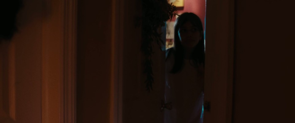 Terrifier.3.2024.Bluray.1080p.DTS-HDMA5.1.x265.10bit-CHD.mkv_20241219_095626.808.jpg