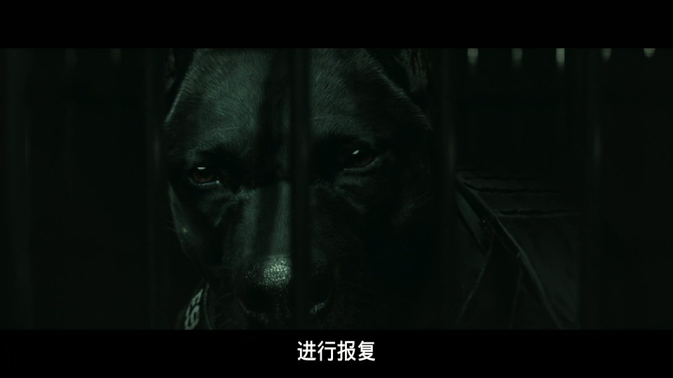Talchul.Project.Silences.2023.Bluray.1080p.iPad.AAC2.0.x264-CHDPAD.mp4_20250101_164103.778.jpg