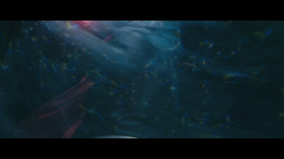 Shin.Kamen.Rider.2023.Bluray.1080p.iPad.AAC2.0.x264-CHDPAD.mp4_20250103_160849.824.jpg