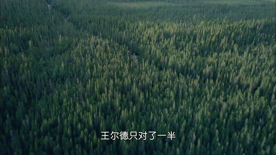 Vikings.Journey.to.New.Worlds.2004.Bluray.1080p.iPad.AAC2.0.x264-CHDPAD.mp4_20250104_132509.914.jpg