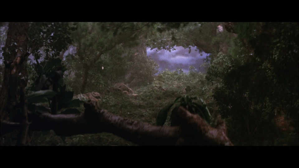The.Monkey.Goes.West.1966.REMUX.Bluray.1080p.AVC.LPCM.2.0-CHD.mkv_20250413_101026.591.jpg