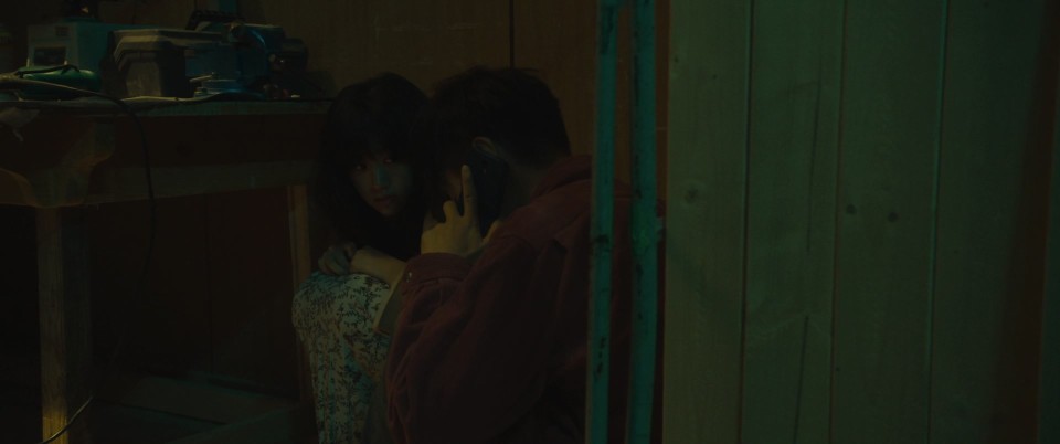First.Love.AKA.Hatsukoi.2019.Bluray.1080p.DTS-HDMA5.1.x265.10bit-CHD.mkv_20250421_145142.153.jpg