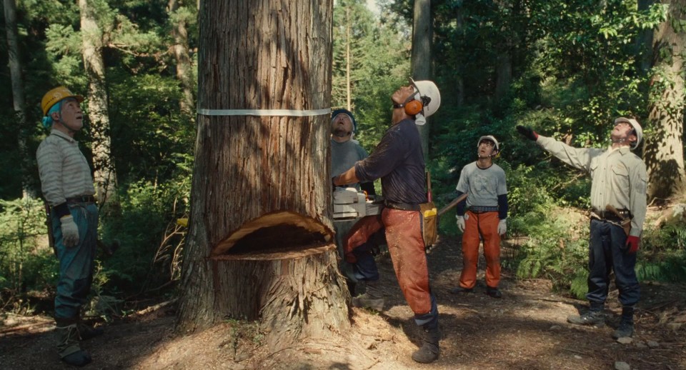 Wood-Job.2014.Bluray.1080p.DTS-HDMA5.1.x264-CHD.mkv_20250426_180014.838.jpg