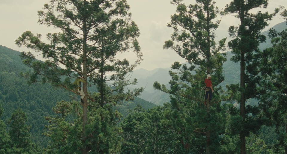 Wood-Job.2014.Bluray.1080p.DTS-HDMA5.1.x265.10bit-CHD.mkv_20250426_180237.388.jpg