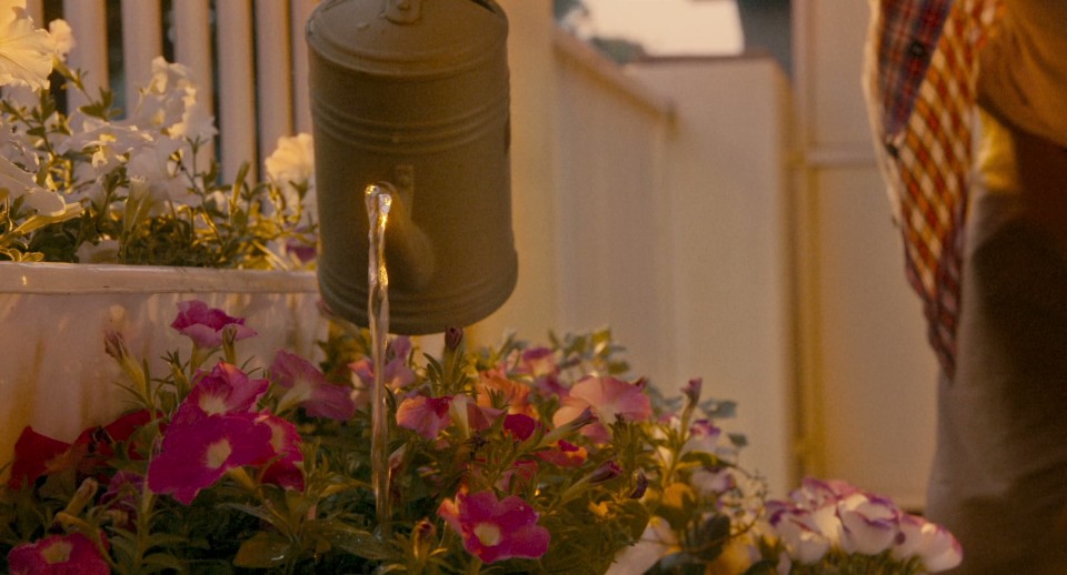 Grasshopper.2015.Bluray.1080p.DTS-HDMA5.1.x265.10bit-CHD.mkv_20250510_072702.999.jpg