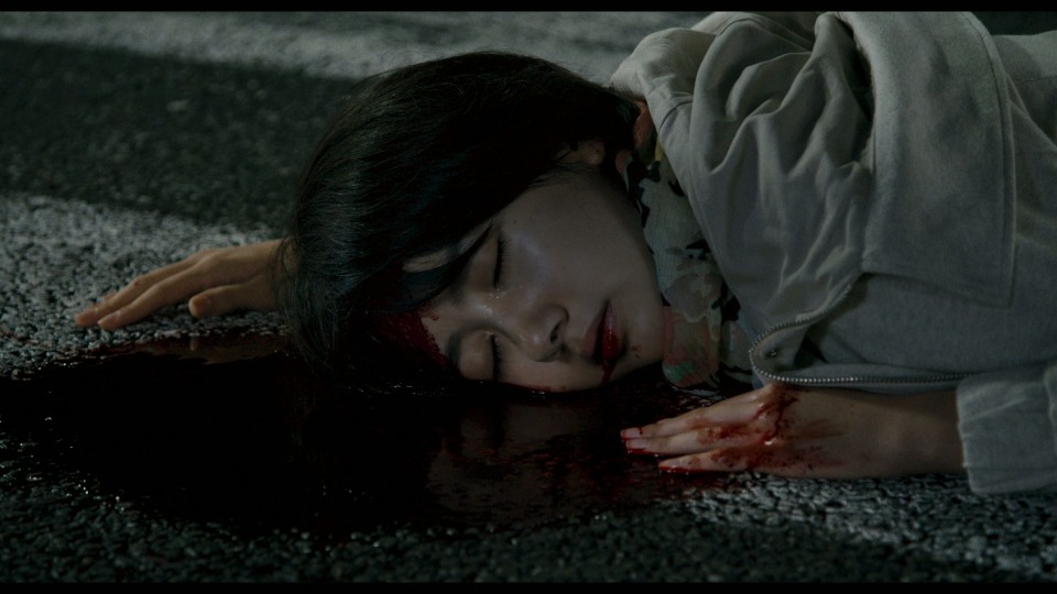 Grasshopper.2015.REMUX.Bluray.1080p.AVC.DTS-HDMA5.1-CHD.mkv_20250510_072006.310.jpg