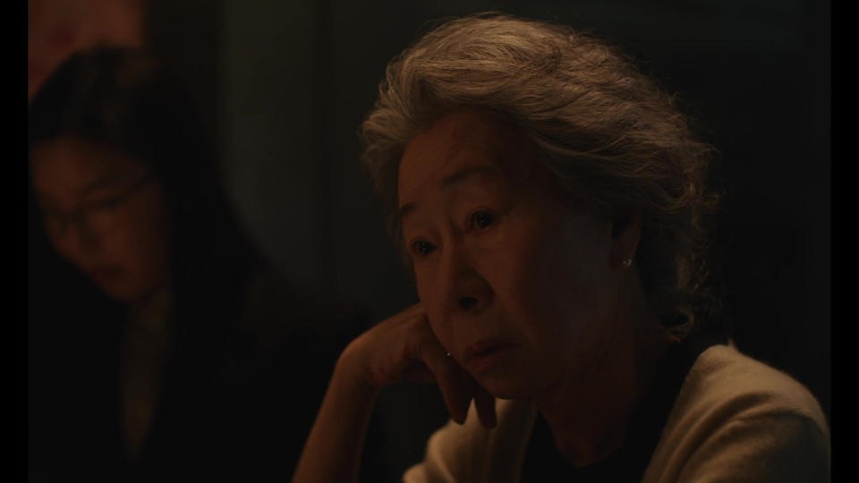 The.Wedding.Banquet.2025.1080p.BluRay.REMUX.AVC.DTS-HDMA5.1-CHD.mkv_20250615_223601.851.jpg