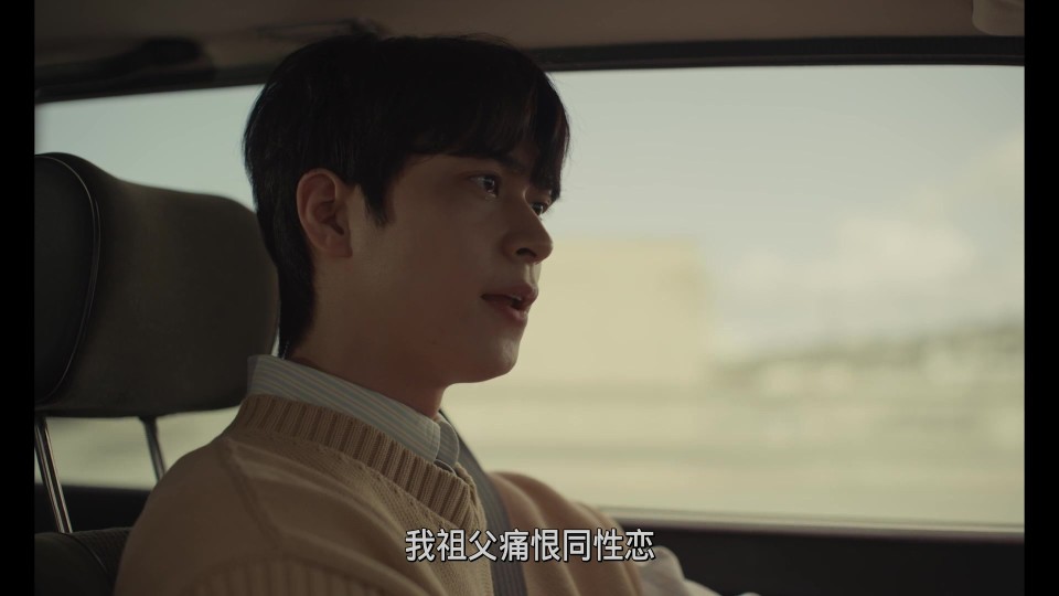 The.Wedding.Banquet.2025.BluRay.1080p.iPad.AAC2.0.x264-CHDPAD.mp4_20250615_223546.224.jpg