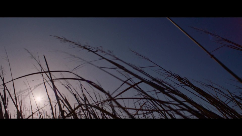 Breakwater.2023.BluRay.1080p.iPad.AAC2.0.x264-CHDPAD.mp4_20250616_183635.490.jpg