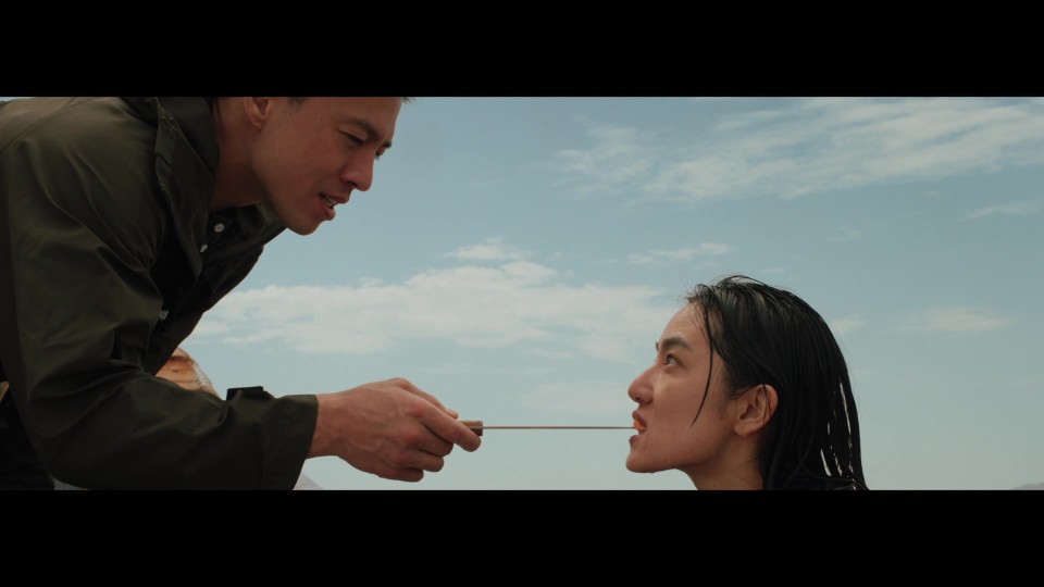 Hunt.the.Wicked.2024.1080p.BluRay.REMUX.AVC.DTS-HDMA5.1-CHD.mkv_20250616_130128.032.jpg
