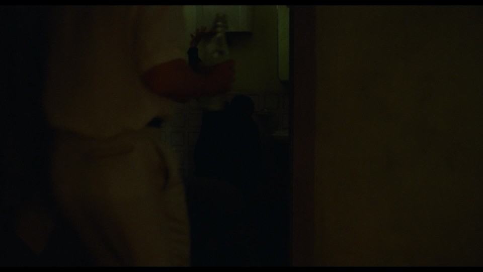Queer.2024.1080p.BluRay.REMUX.AVC.TrueHD7.1-CHD.mkv_20250616_131439.906.jpg
