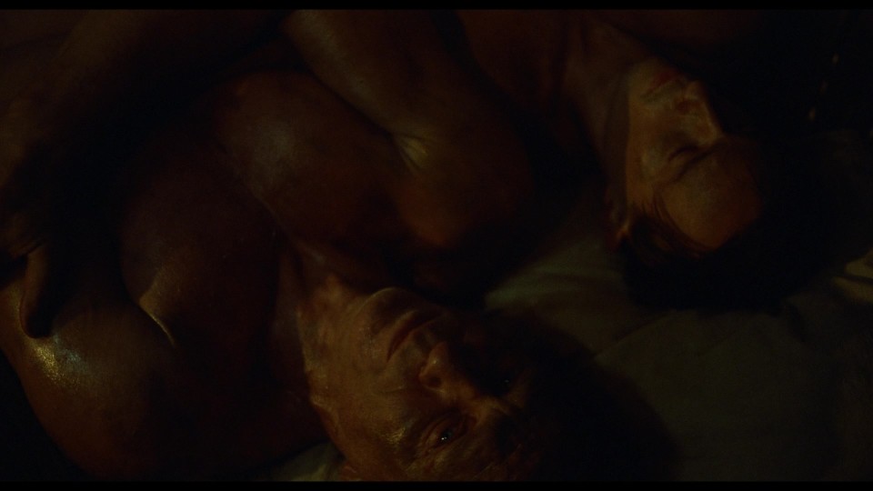 Queer.2024.1080p.BluRay.REMUX.AVC.TrueHD7.1-CHD.mkv_20250616_131446.106.jpg