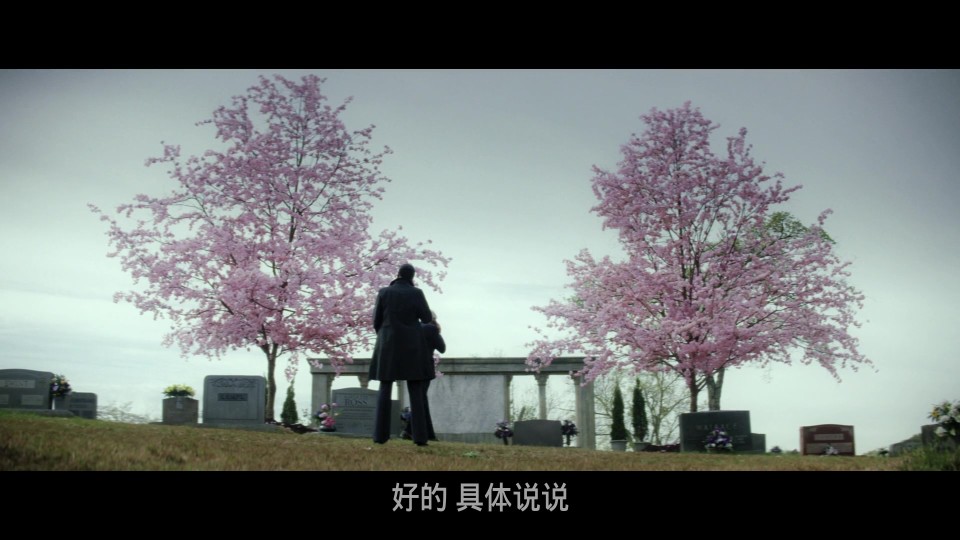 Captain.America.Brave.New.World.2025.BluRay.1080p.iPad.AAC2.0.x264-CHDPAD.mp4_20250618_125725.827.jpg