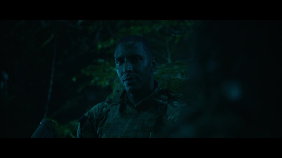 Invasion.2024.1080p.BluRay.REMUX.AVC.DTS-HDMA5.1-CHD.mkv_20250619_223547.975.jpg