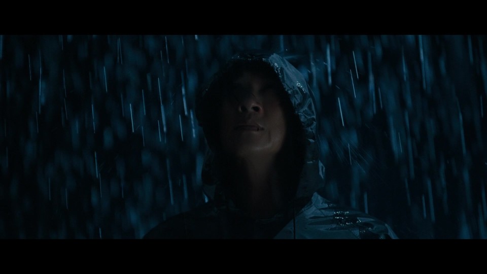 Wolf.Hiding.2023.1080p.Bluray.REMUX.AVC.TrueHD7.1-CHD.mkv_20250701_195828.530.jpg