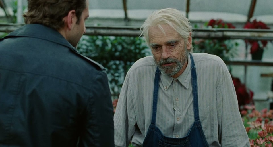 The.Words.2012.Bluray.1080p.TrueHD5.1.x264-CHD.mkv_20250731_174111.119.jpg